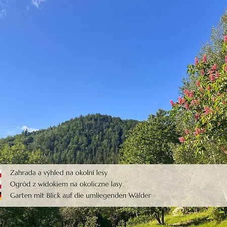 Mustelka Konukevi Rokytnice nad Jizerou